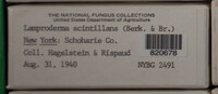 Image Associated With the Occurence